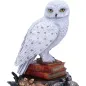 HARRY POTTER - Hedwig Statue - Nemesis Now HARRY POTTER - Hedwig Statue - Nemesis Now